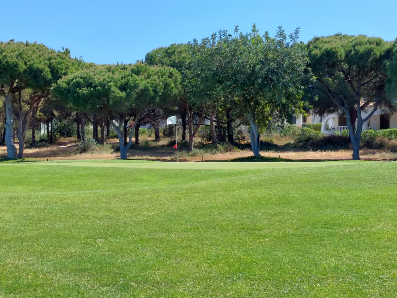 Golf course fairway among pine trees in Vilamoura.